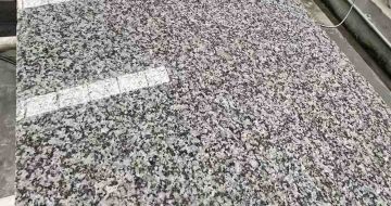 六安 芙蓉白光面
