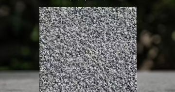 六安 芝麻黑荔枝面