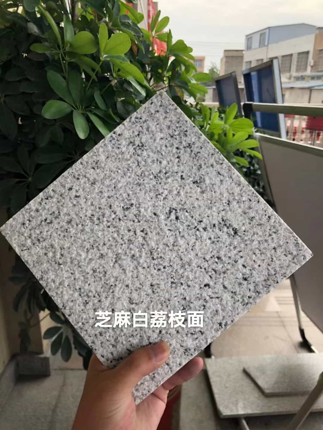 六安 芝麻白荔枝面干挂