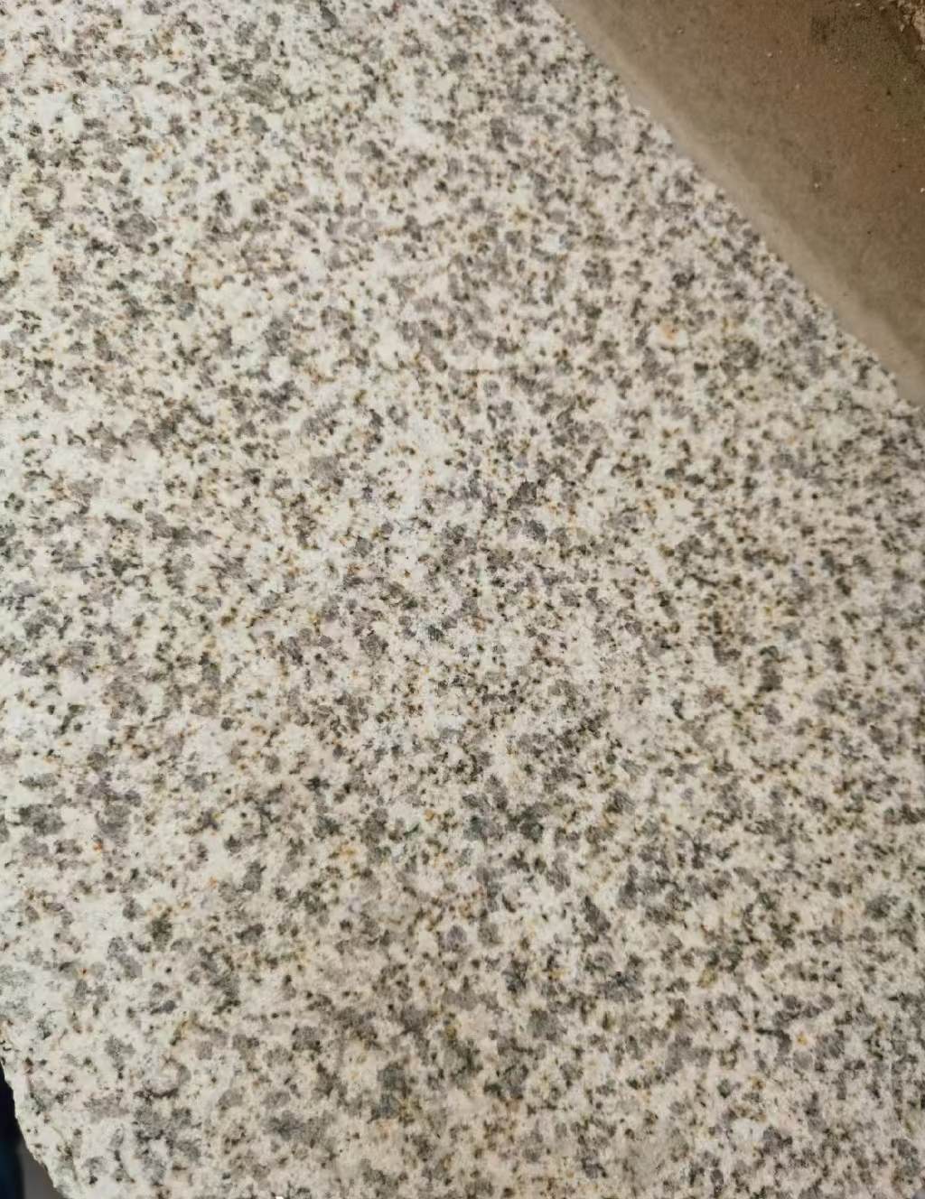 六安 黄金麻中黄光面