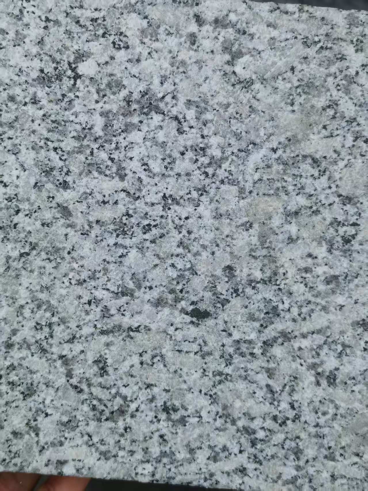 六安 芙蓉白火烧面