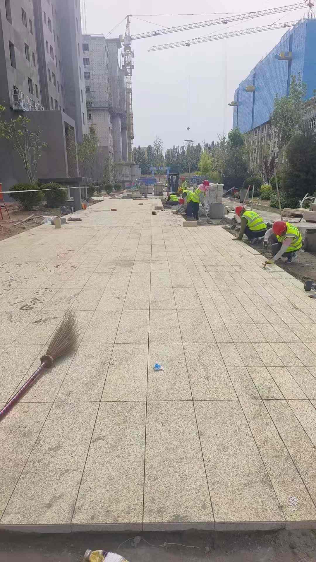 六安黄金麻荔枝面地铺案例
